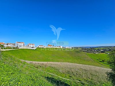 listing-picture-0