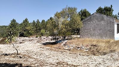 listing-picture-0