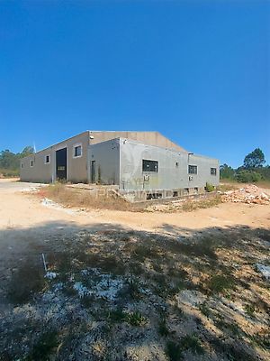 listing-picture-0