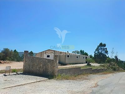 listing-picture-0
