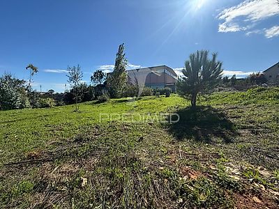 listing-picture-0