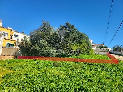listing-picture-0