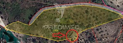 listing-picture-0