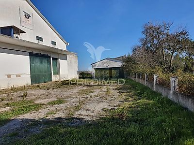 listing-picture-0