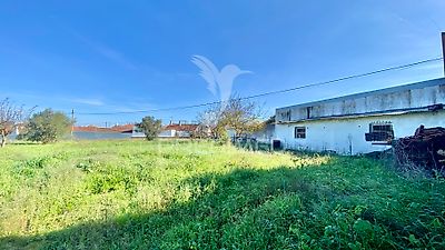 listing-picture-0
