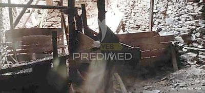 listing-picture-0