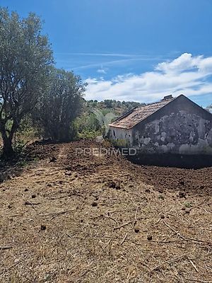 listing-picture-0