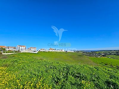 listing-picture-0