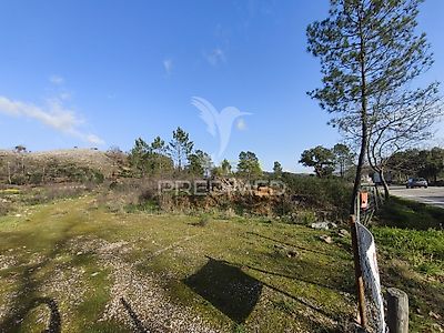 listing-picture-0