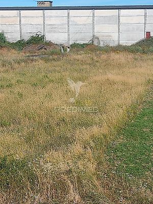 listing-picture-0