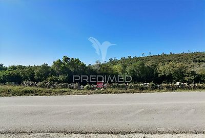 listing-picture-0