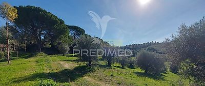 listing-picture-0