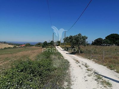 listing-picture-0