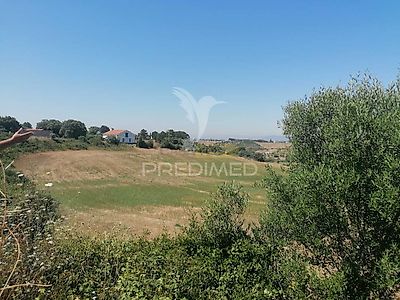 listing-picture-0