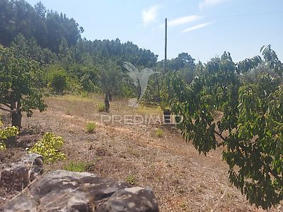 listing-picture-0