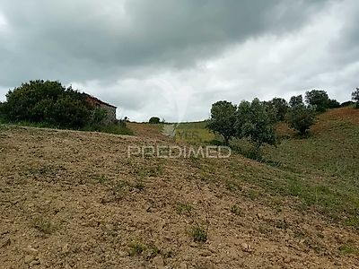 listing-picture-0