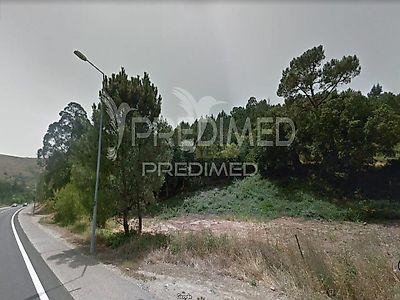 listing-picture-0