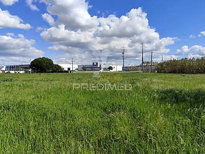 listing-picture-0