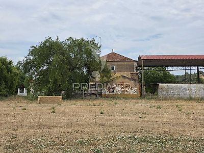 listing-picture-0