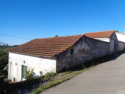 listing-picture-0