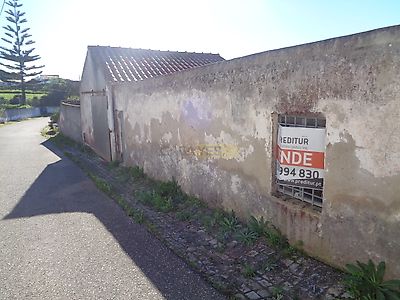 listing-picture-0