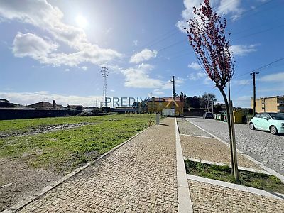 listing-picture-0