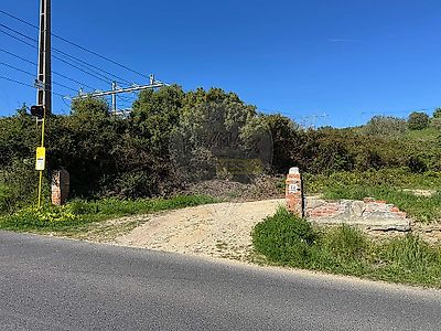 listing-picture-0