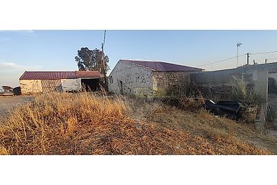 listing-picture-0