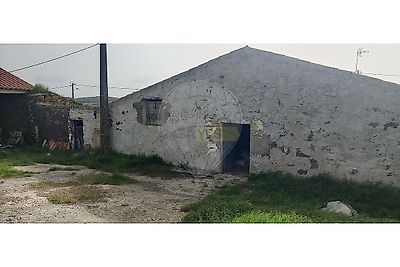 listing-picture-0