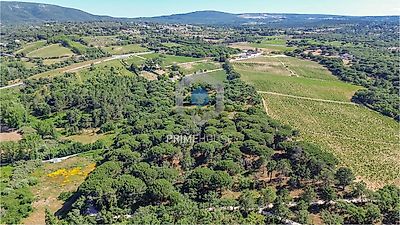 listing-picture-0