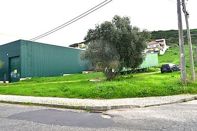 listing-picture-0