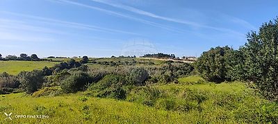 listing-picture-0