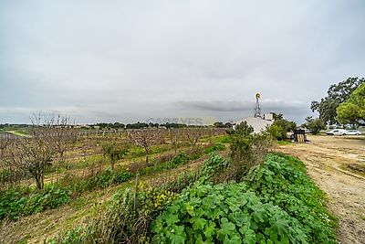 listing-picture-0