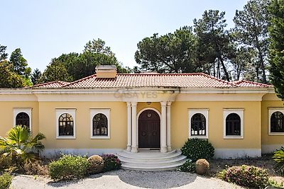 listing-picture-0