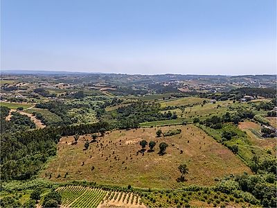 listing-picture-0