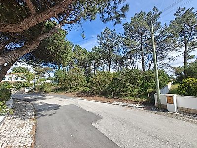listing-picture-0