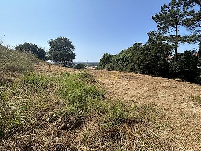 listing-picture-0