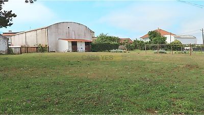 listing-picture-0