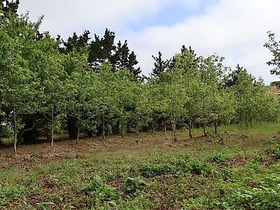 listing-picture-0