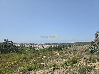 listing-picture-0