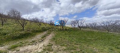 listing-picture-0