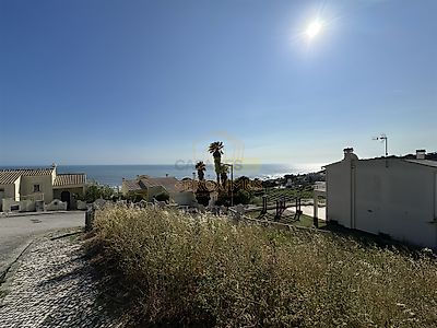 listing-picture-0