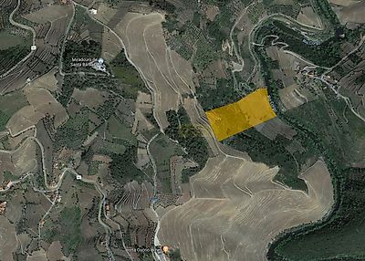 listing-picture-0