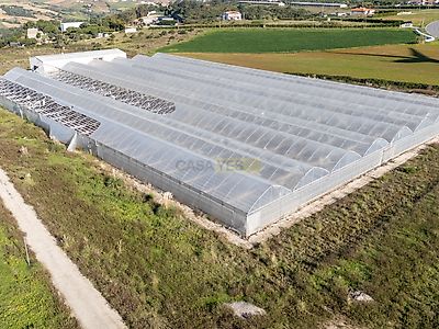 listing-picture-0