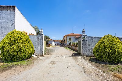 listing-picture-0