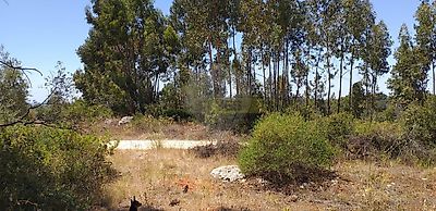 listing-picture-0