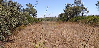 listing-picture-0
