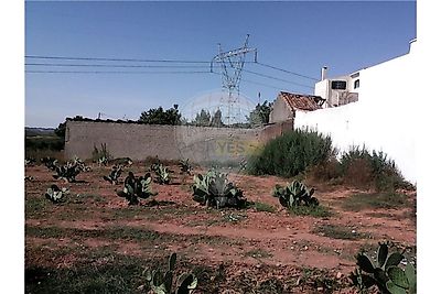 listing-picture-0