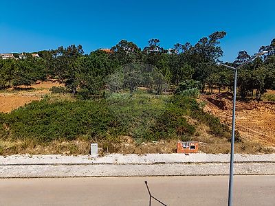listing-picture-0