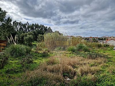 listing-picture-0